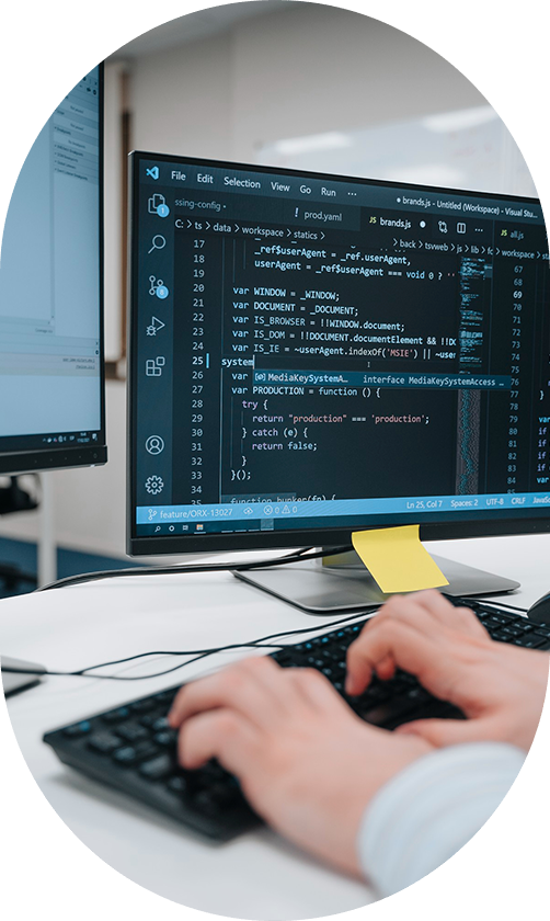 Custom Software Development